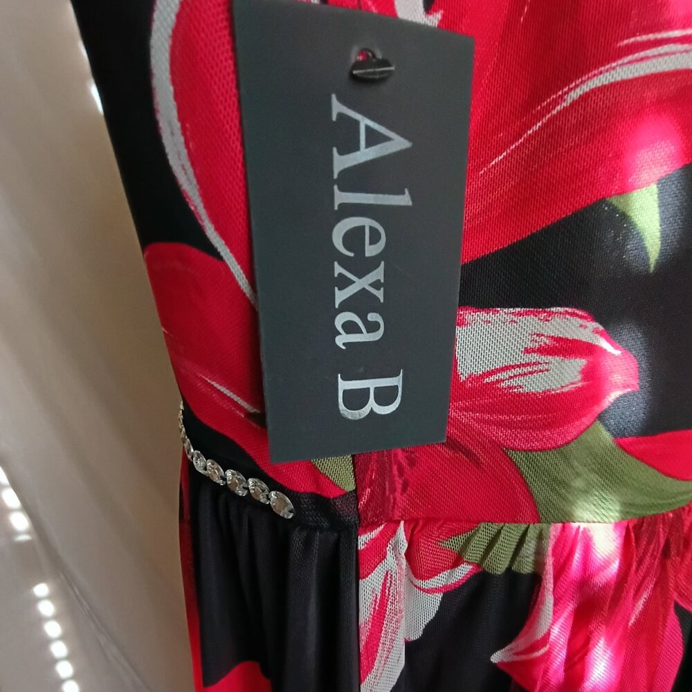 Alexa B Dress ☺️👗 - Picture 12 of 13
